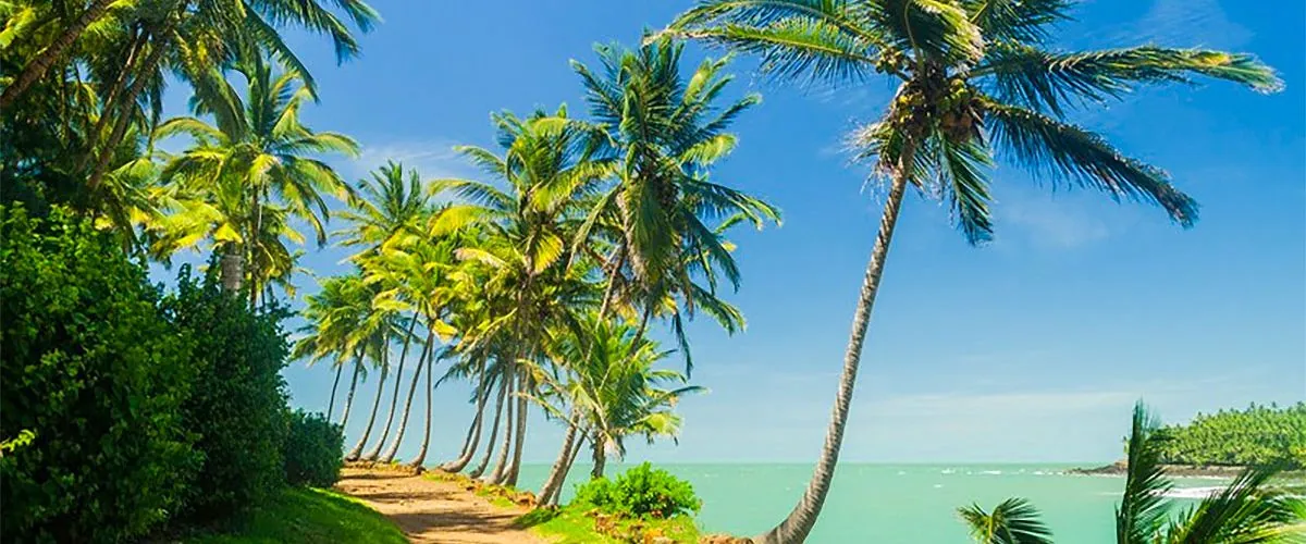 assurance temporaire en Guyane