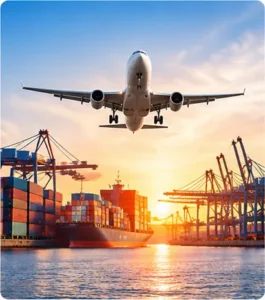 Import/Export, transit international